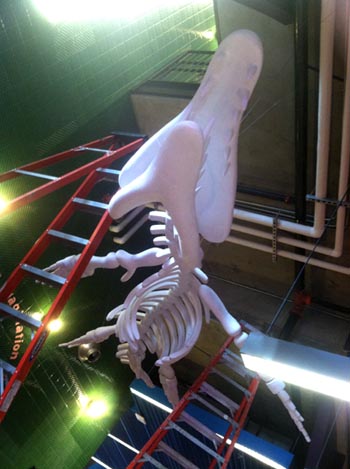 liopleurodon sculpture ImaginOn