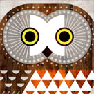 Scott Partridge - Illustration - North American Owls