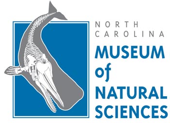 ncmns logo