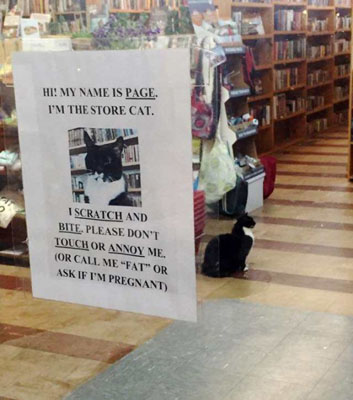 page - book buyers cat