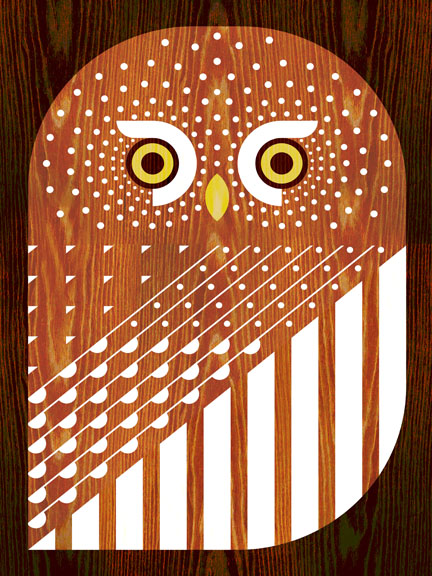 Scott Partridge - Illustration - Northern Pygmy Owl