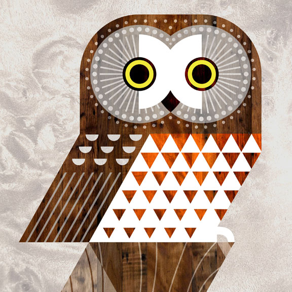 Scott Partridge - Illustration - Saw Whet Owl