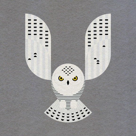 Scott Partridge - Illustration - Snowy Owl