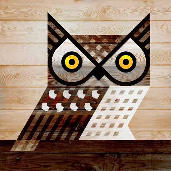 Scott Partridge - Illustration - Western Screech Owl
